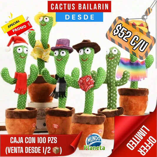 CACTUS BAILARÍN 🌵